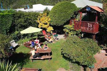 Hostel The Picton